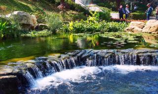香港旅游全攻略 香港旅游全攻略