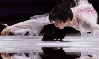 羽生结弦今日抵京