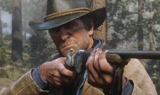 荒野大镖客2兄妹夫妻