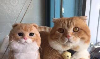 相似度测试 相似度测试