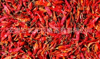 种子色选机 种子色选机