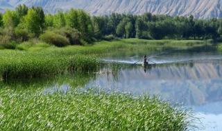 风景这边独好前一句