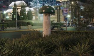 北京街头现2米高蘑菇 北京街头现2米高蘑菇