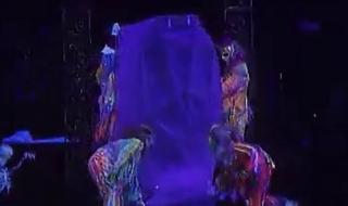 1992年杰克逊演唱会