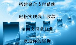 第三方支付接口api